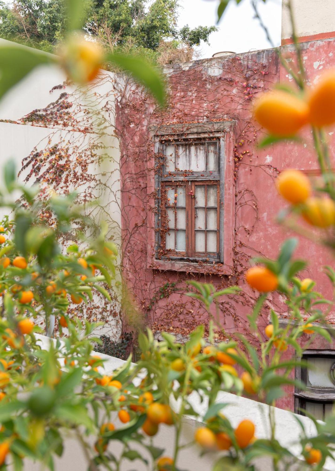 Casa Chic Palermo Soho Hotel Buenos Aires Bagian luar foto